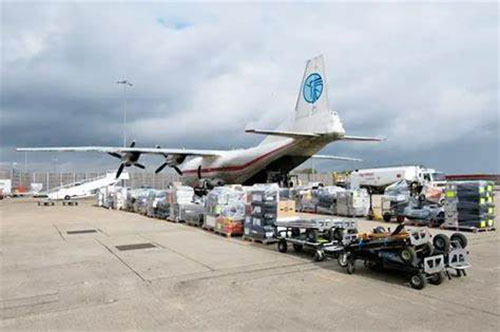 1685598991594633.jpg OIP-C.jpg